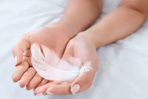 Manos sostienen una pluma blanca, símbolo de paz y pureza. Su delicadeza evoca la ligereza y el significado de la pluma blanca.