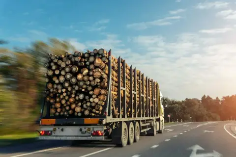 Ciężarówka z drewnem na naczepie, pokazująca, ile może wystawać towar z naczepy.