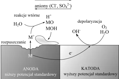 Schemat przedstawia proces korozji elektrochemicznej metalu. Anoda (niższy potencjał) ulega rozpuszczaniu, a elektrony migrują do katody (wyższy potencjał), gdzie zachodzi depolaryzacja.