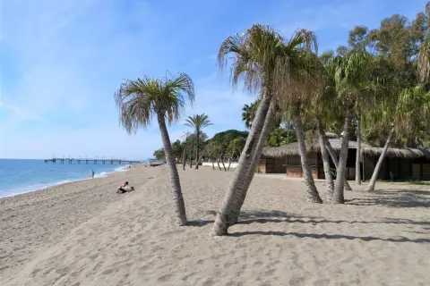 Piękny marbella beach z palmami, piaskiem i błękitnym niebem. W oddali widać molo i kilka osób odpoczywających na plaży.
