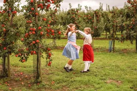 Dwie dziewczynki tańczą wśród niskopiennych drzewek owocowych uginających się pod ciężarem czerwonych jabłek.