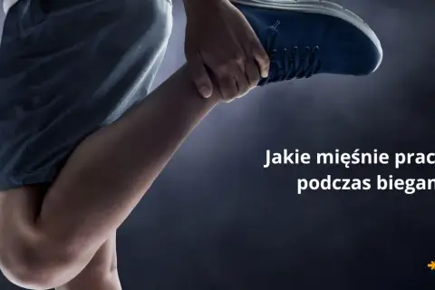 Jakie mięśnie pracują podczas biegania? Biegaj mądrzej!