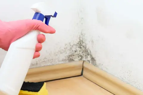 Mano con guante rosa sostiene spray para limpiar moho en esquina de pared. La humedad y la baja temperatura de rocío favorecen su aparición.