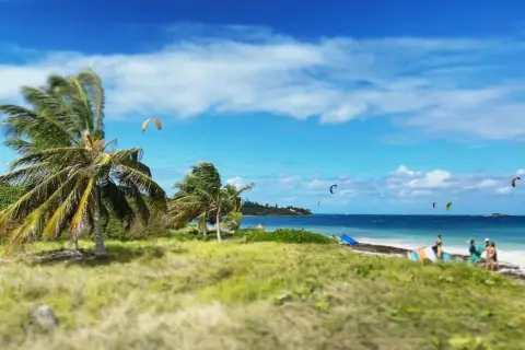 Palmy kołyszą się na wietrze, a na błękitnym morzu widać kolorowe latawce. Różnorodne kierunki wiatru pozwalają na ekscytujący kitesurfing.
