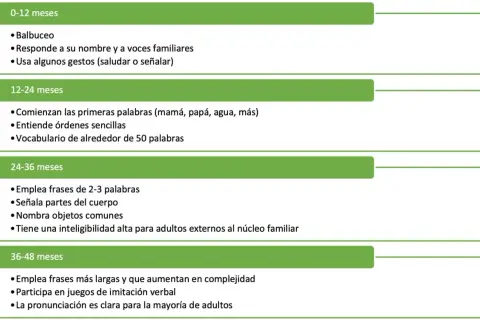 Tabla de hitos del desarrollo del lenguaje en niños, desde balbuceo hasta frases complejas. Útil para detectar retraso en el desarrollo del lenguaje.