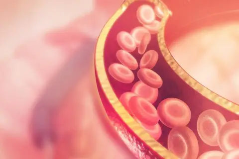 Przekrój naczynia krwionośnego z czerwonymi krwinkami. Wysoki poziom lipoproteiny może wpływać na przepływ.