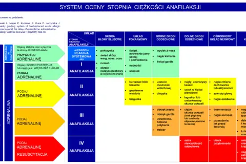 System oceny ciężkości anafilaksji: od łagodnych objawów skórnych po niewydolność krążenia, wskazówki dotyczące podawania adrenaliny.