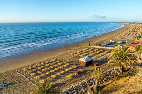 Słoneczna plaża Playa del Inglés z rzędami żółtych leżaków, turkusowym oceanem i palmami.