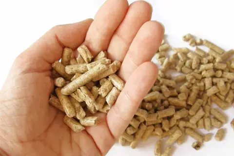 Dłoń trzymająca pellet, który jest rodzajem biomasy. W tle rozsypane granulki.