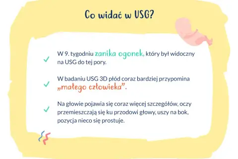 W 9. tygodniu ciąży zanika ogonek płodu, który na USG przypomina już "małego człowieka". Pojawiają się szczegóły głowy.