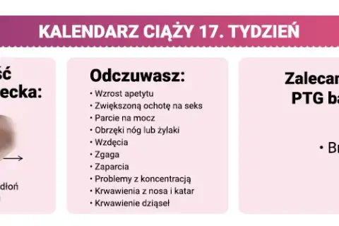 17 tydzień ciąży – jak duża jest wysokość dziecka i co to oznacza