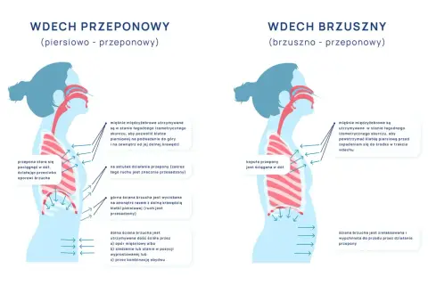 Ilustracja porównuje wdech piersiowo-przeponowy i brzuszno-przeponowy, pokazując pracę przepony.