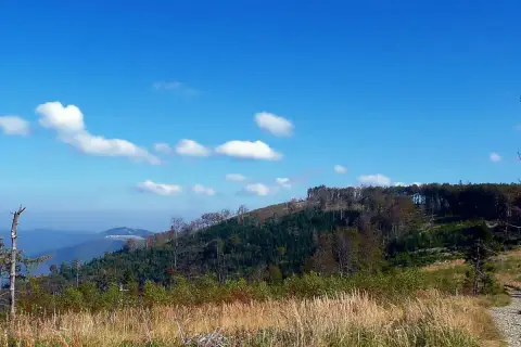 Górski krajobraz z suchym drzewem, przypominającym samotny czupel, na tle błękitnego nieba z chmurami.