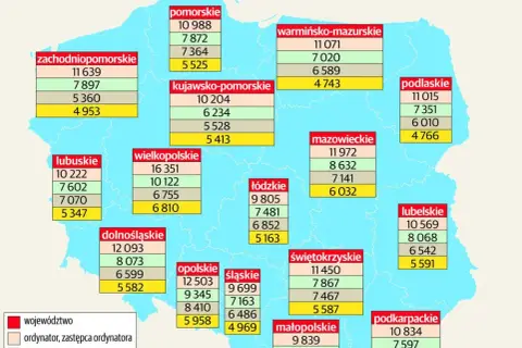 Ile zarabia neurolog? Zaskakujące różnice w wynagrodzeniach w Polsce