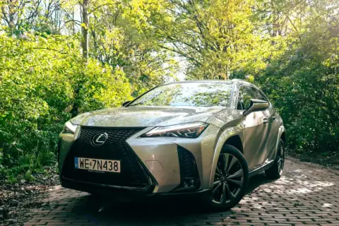 Srebrny Lexus UX 250h na brukowanej drodze w otoczeniu zieleni.