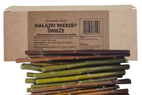 Gałązki wierzby świeże, idealne dla królików i gryzoni. Naturalne ścieranie zębów i uzupełnienie diety. Czy królik może jeść gałązki wierzby? Tak, to świetny przysmak!