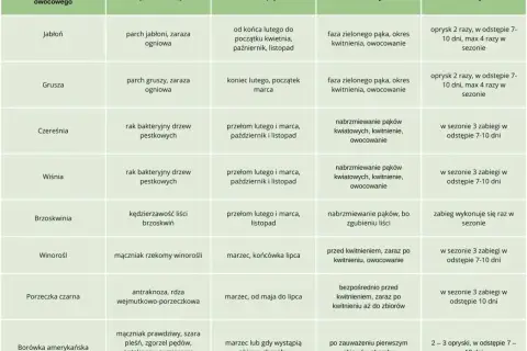 Tabela z terminami oprysków drzew owocowych, np. jabłoni na parch czy winorośli na mączniak.