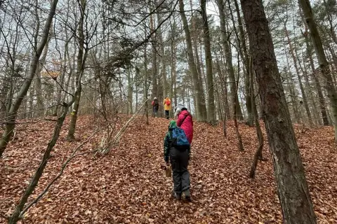 Spacer po jesiennym lesie, ścieżka wyłożona liśćmi, grupa osób doświadcza **shinrin yoku**.