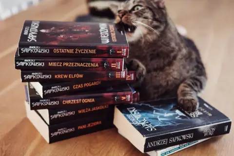 Kot na stosie książek Andrzeja Sapkowskiego, idealna **wiedźmin chronologia** do czytania.