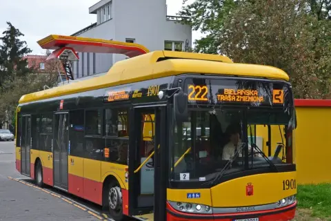 Ile osób zmieści bus/autobus? Limity, kat. B/D i polskie przepisy