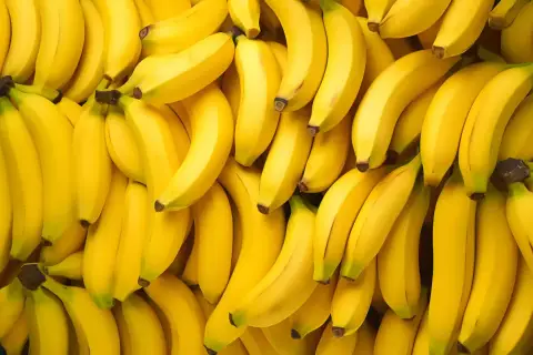 Mnóstwo dojrzałych, żółtych bananów. Zastanawiasz się, ile cukru ma banan? To naturalnie słodki owoc, idealny na przekąskę.