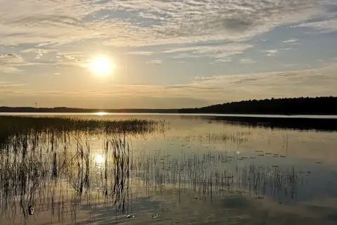 Zachód słońca nad spokojnymi jeziorami mazurskimi. Woda odbija złote światło, a na pierwszym planie widać trzciny.