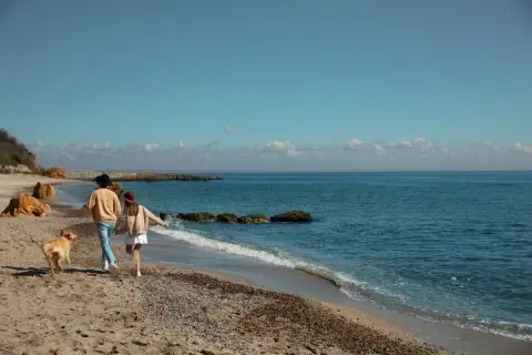 Para z psem spaceruje po plaży w Mielnie. To świetne mielno atrakcje poza sezonem, gdy jest spokojniej i można cieszyć się naturą.