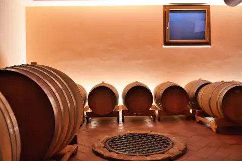 Botti di legno in una cantina del Friuli Venezia Giulia, pronte ad accogliere il vino.