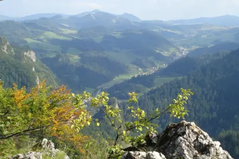 Widok na malownicze **pieniny szczyty** z drzewami w jesiennych barwach na pierwszym planie.