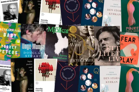 Collage of book covers featuring diverse imagery, including portraits, abstract art, and romantic scenes.