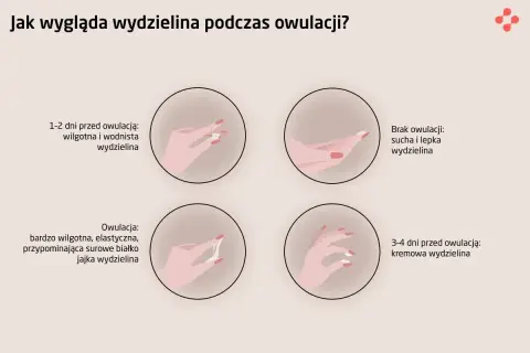 Jakie badania przed cyklem? Kluczowe testy dla Twojego zdrowia