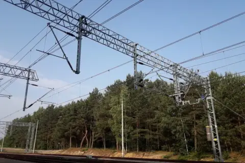 Trwa budowa sieci trakcyjnej nad torami kolejowymi, otoczona gęstym lasem sosnowym.