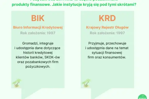 Chwilówki bez BIK i KRD: Gdzie szukać i jak uniknąć pułapek?