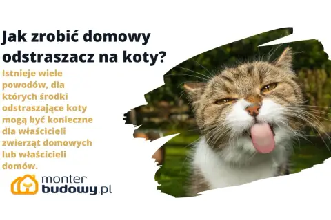 Jak zrobić domowy odstraszacz na koty? Dowiedz się, jak skutecznie zniechęcić koty do odwiedzania Twojego ogrodu.