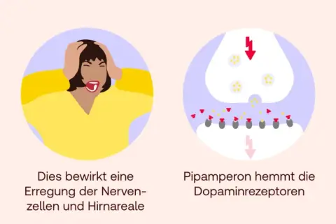 Dopamin überträgt Signale, was Erregung bewirkt. Pipamperon hemmt Dopaminrezeptoren, verhindert anregende Wirkung.