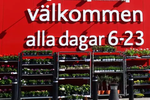 Välkommen till butiken! Här finns massor av blommor och växter. Perfekt för dig som vill jobba i butik och hjälpa kunder att hitta det finaste.