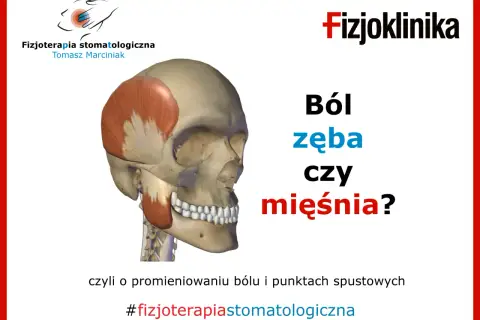 Czasem ból wszystkich zębów to nie problem z zębami, a z mięśniami. Fizjoterapia stomatologiczna pomoże!