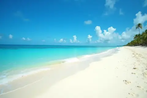 Piękna plaża z turkusową wodą i palmami. Idealne miejsce, kiedy jest sezon na Dominikanie.