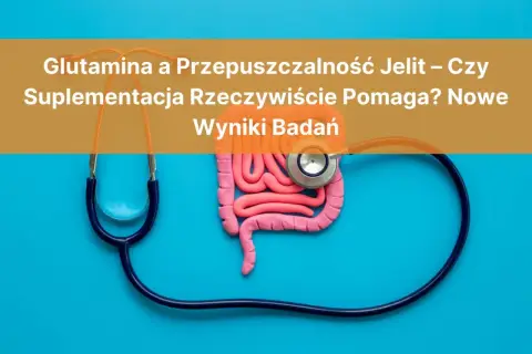 Model jelit i stetoskop. Czy glutamina co to i suplementacja pomagają na przepuszczalność jelit? Wyniki badań.