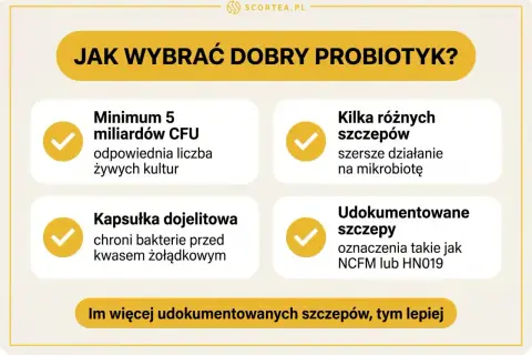 Wybierasz probiotyk dla dorosłych? Zwróć uwagę na minimum 5 mld CFU, kapsułkę dojelitową, kilka szczepów i udokumentowane szczepy.
