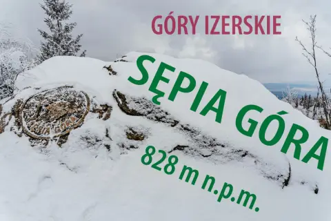 Pokryta śniegiem Sępia Góra w Górach Izerskich, z widocznym znakiem szczytu i wysokością 828 m n.p.m.