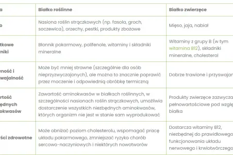 Białko roślinne: Czy jest pełnowartościowe? Obalamy mity!