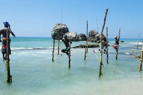 Stelzenfischer Sri Lanka: Männer sitzen auf Stelzen im Meer und angeln. Die Sonne scheint auf das türkisfarbene Wasser.