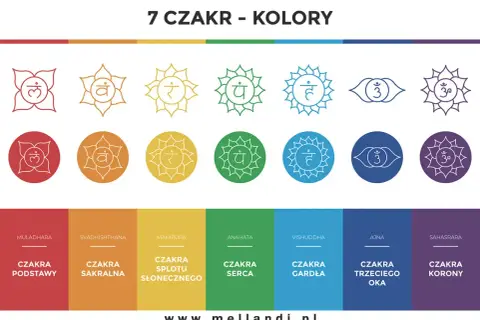 Siedem czakr i ich kolory: od czerwonej czakry podstawy po fioletową czakrę korony. Wizualizacja symboli i nazw.