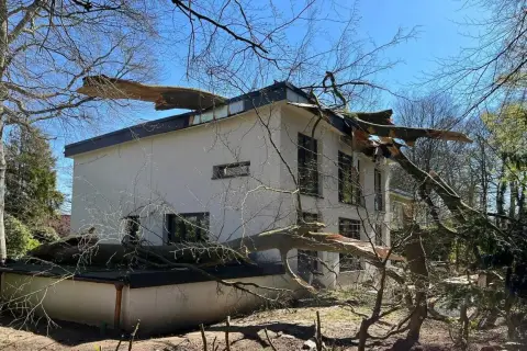 Ein großer Baum ist auf ein Haus gefallen. Die Äste liegen auf dem Dach und der Fassade. Es sieht so aus, als ob man den Baum gerade ziehen müsste, um das Haus zu retten.