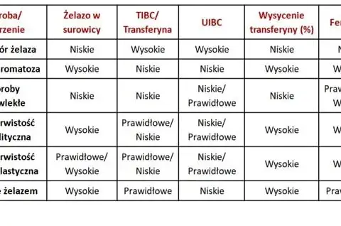 Twoje wyniki żelaza: co oznaczają Fe, ferrytyna i TIBC?