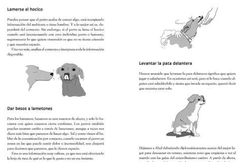 Ilustraciones de perros raros: uno se lame el hocico, otro levanta la pata y uno más da lametones.
