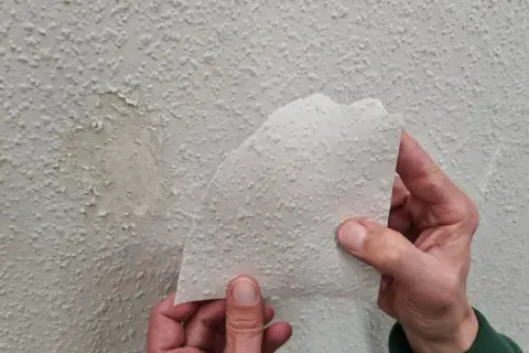 Hände halten ein Stück abgelöste Raufasertapete hoch, um einen beschädigten Bereich an der Wand zu inspizieren.