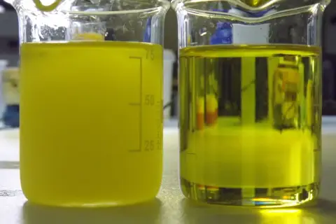 Dwa zlewki z żółtym płynem. Na lewej widać osad, co może sugerować, w jakiej temperaturze zamarza diesel.