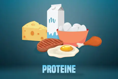 Ein Berg aus Käse, Steak, Spiegelei, Hühnerbein, Milch und Eiern – das ist zu viel Eiweiß!